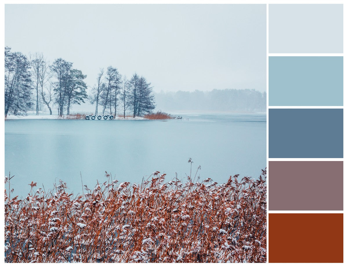 Color Palette Series Scandinavian Design
