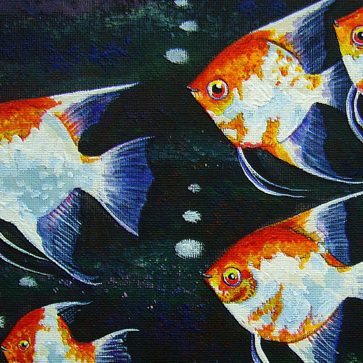 Angel Fish Wall Art