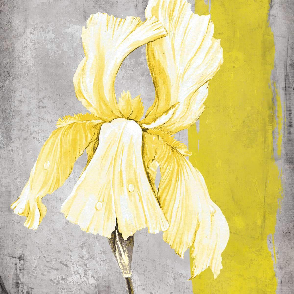 Irises Wall Art