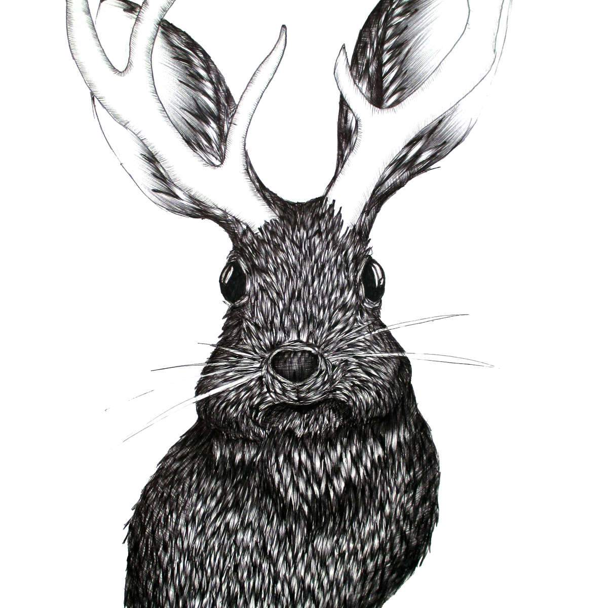 Mythical Creatures Wall Art