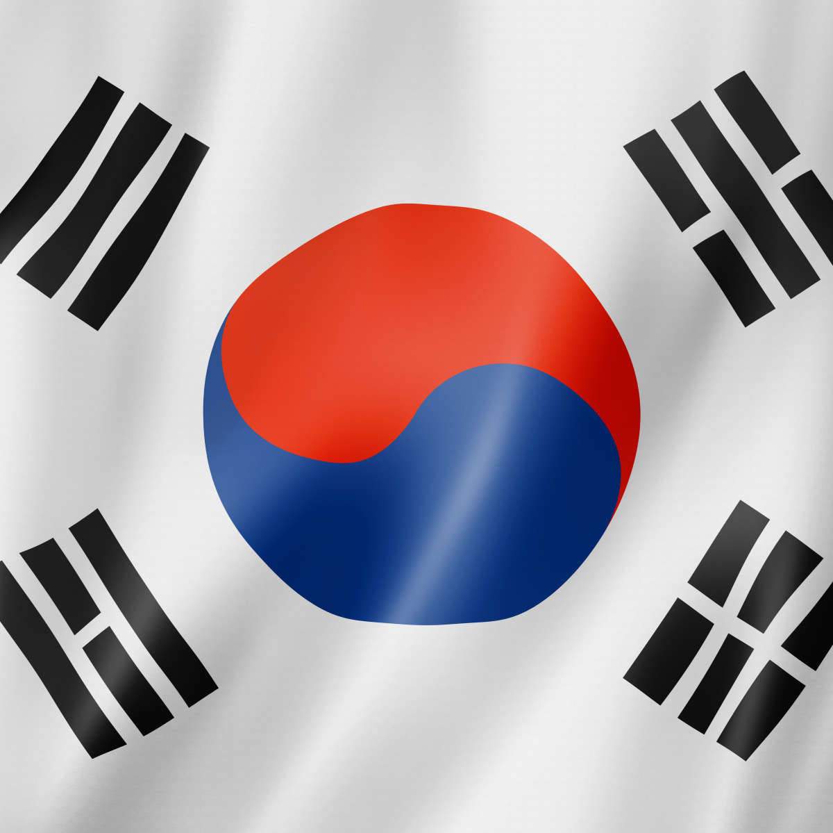 South Korea Flags Wall Art