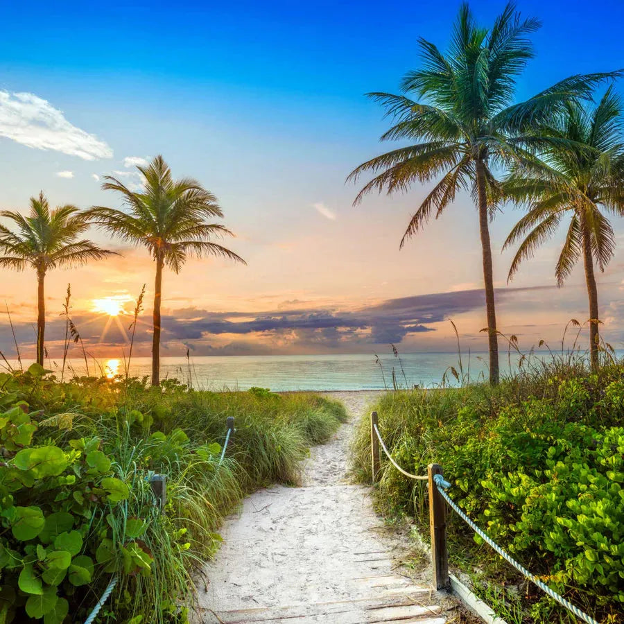 Tropical Beach Wall Art