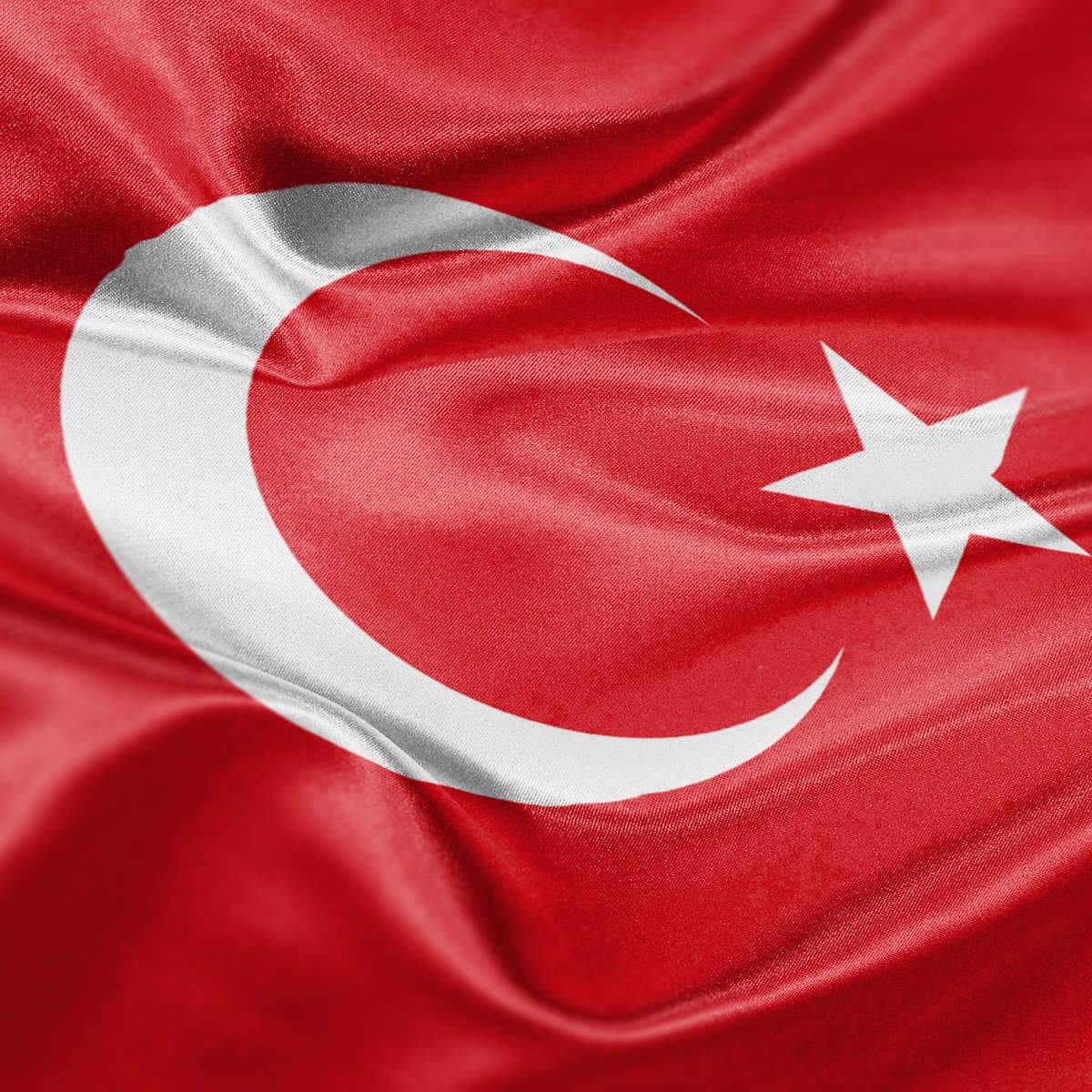 Turkey Flags Wall Art