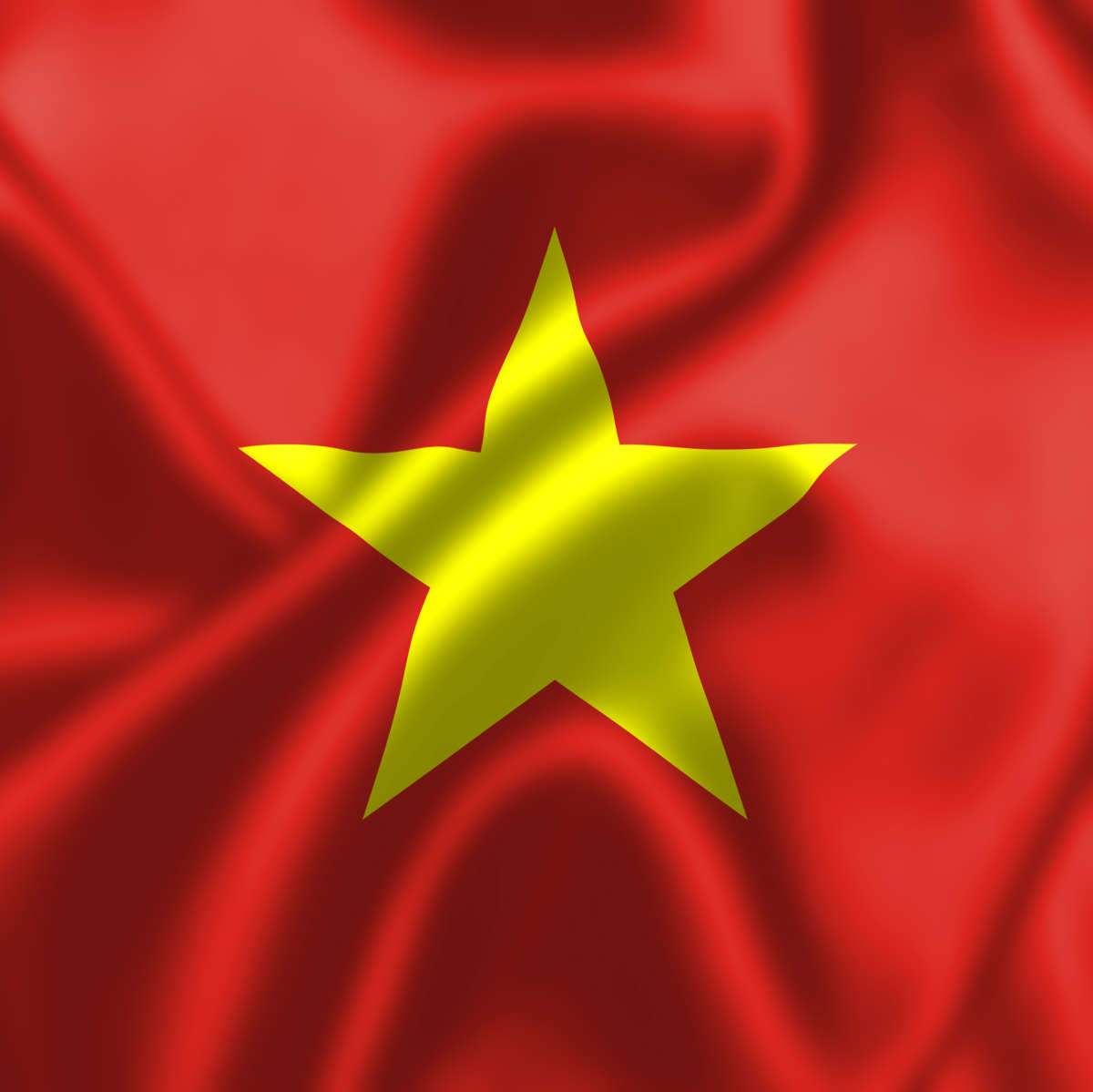 Vietnam Flags Wall Art