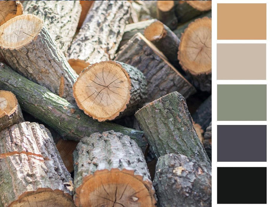 Color Palette Series: Rustic Wall Decor Ideas