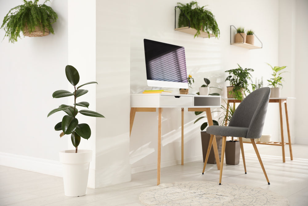 Give Your Work-from-Home Space a Makeover