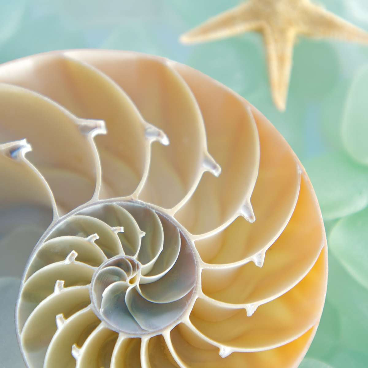 Alan Blaustein Art | Canvas Art, Art Prints & Framed Canvas