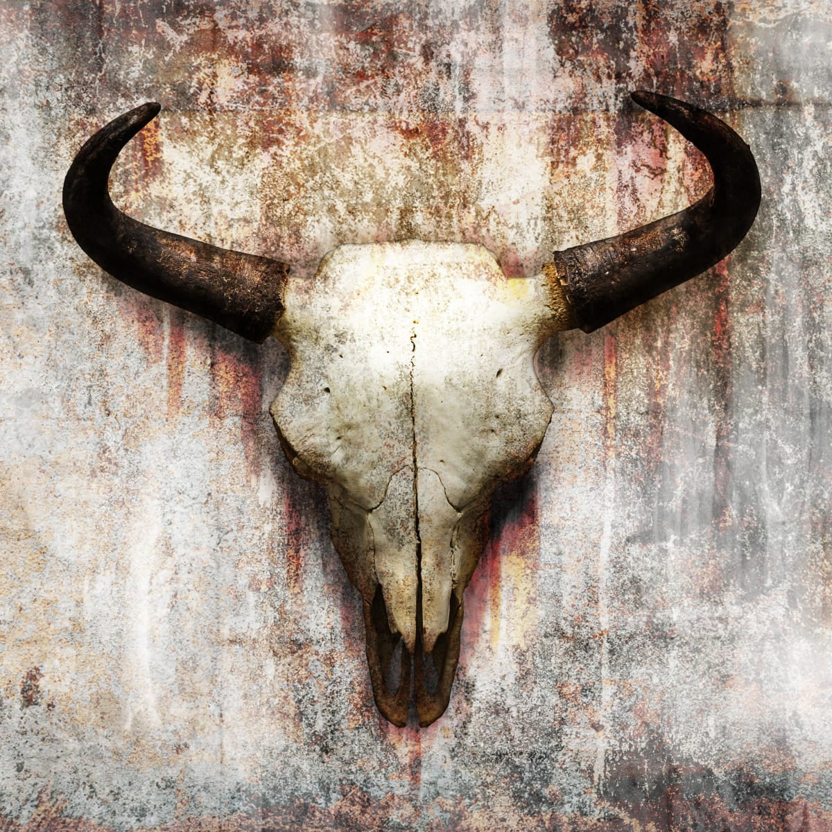Decorating with Real Cow Skulls - Our 5 Faves! – Wall Charmers
