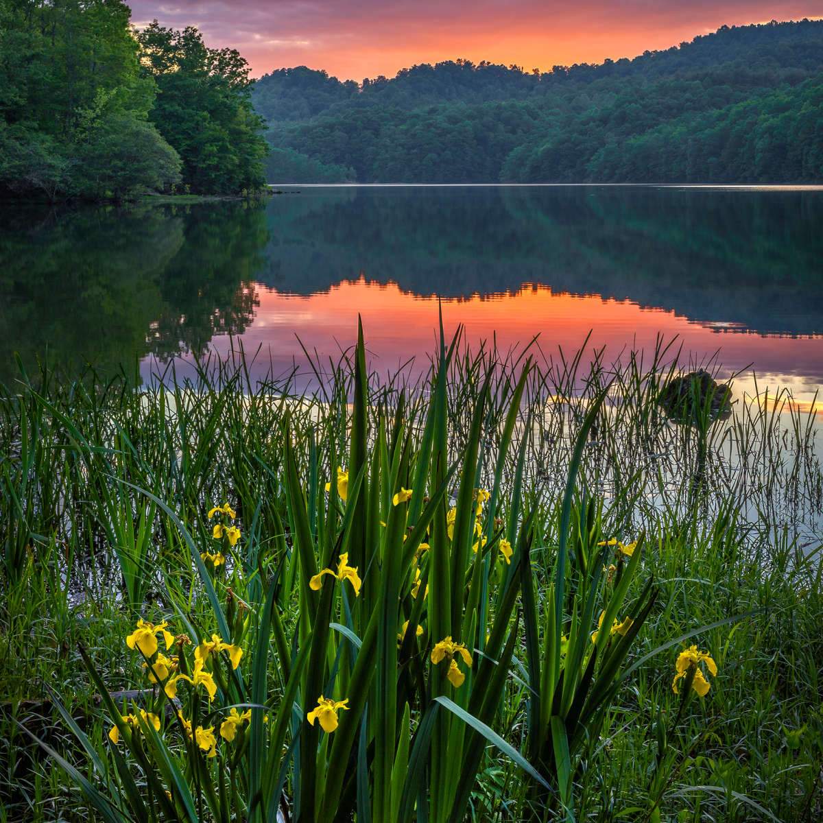 Spring Appalachia Appalachian Mountains Spring