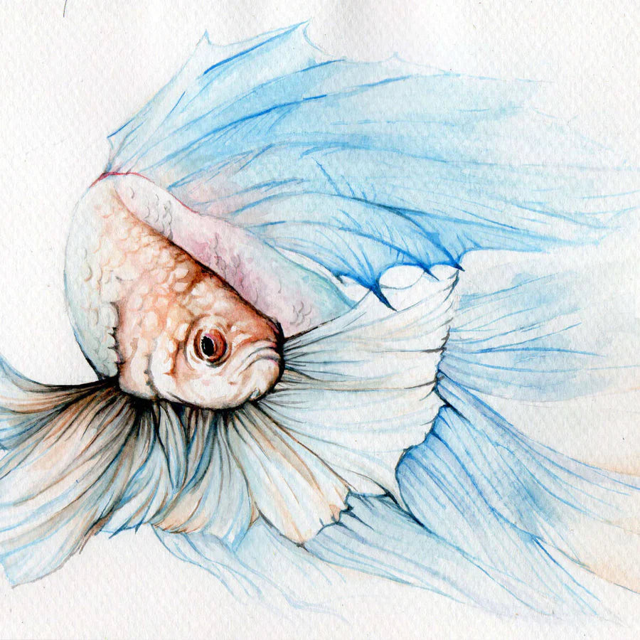 Aquarium Fish Wall Art