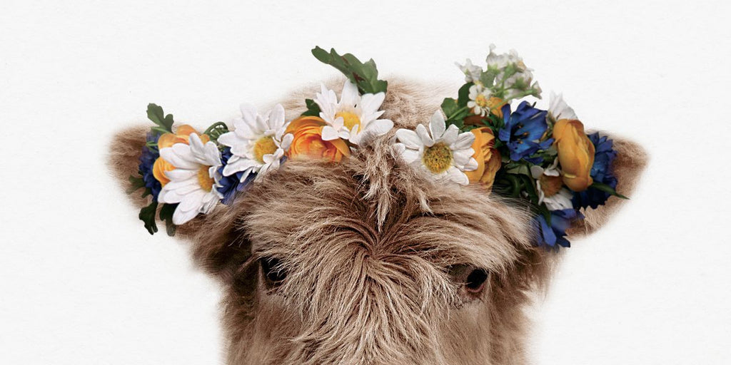 Baby Animals With Flower Crowns Wall Art Prints, Framed Prints And