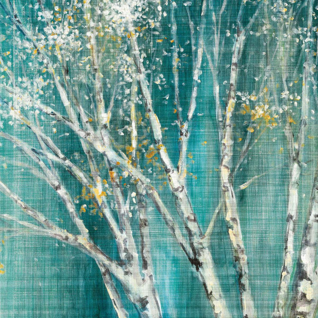 Birch Tree Wall Art Prints, Framed Prints And Multi Panel Art