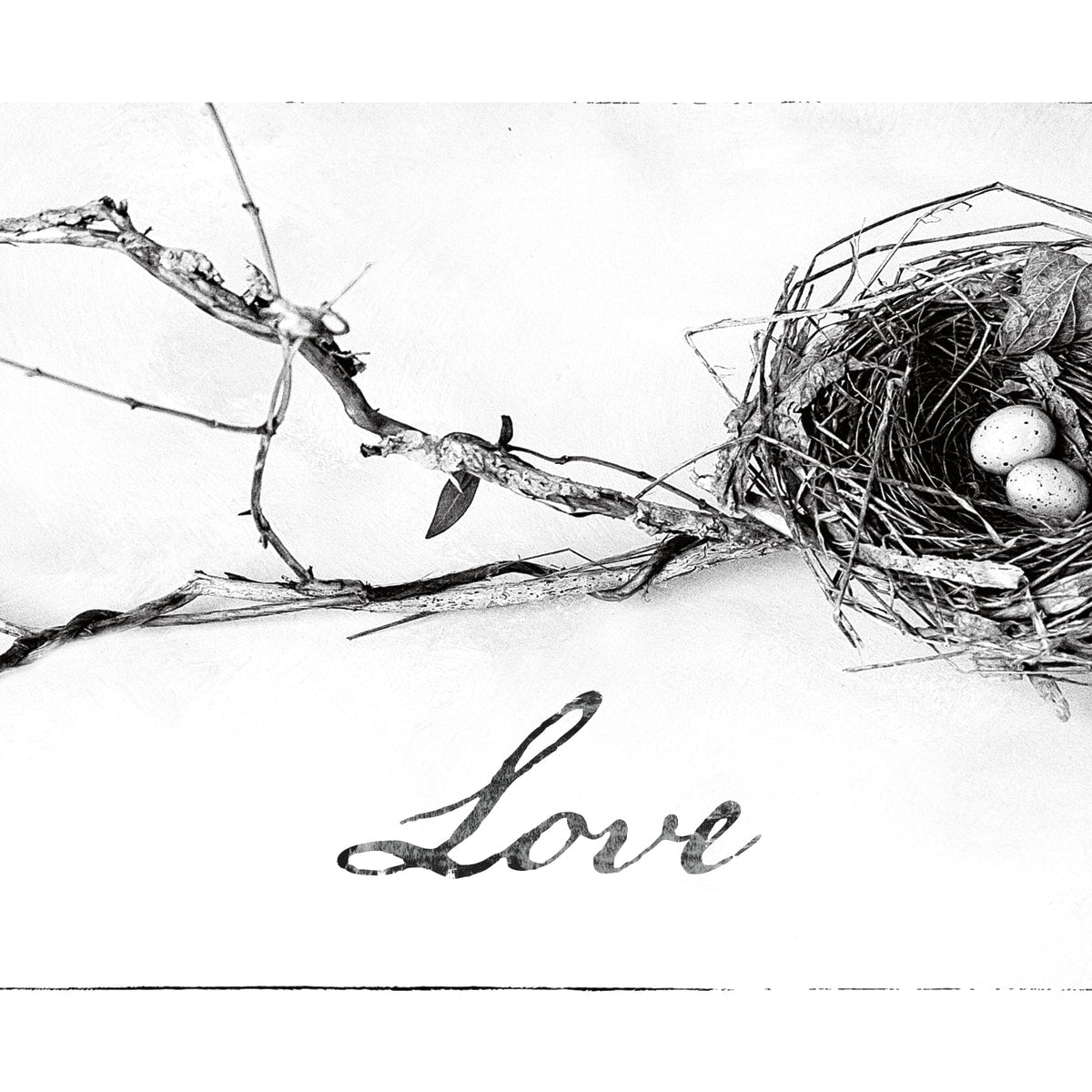 6,524 Bird Nest Sketch Images, Stock Photos & Vectors | Shutterstock