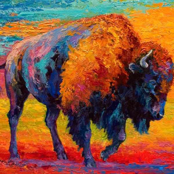Bison And Buffalo Wall Art