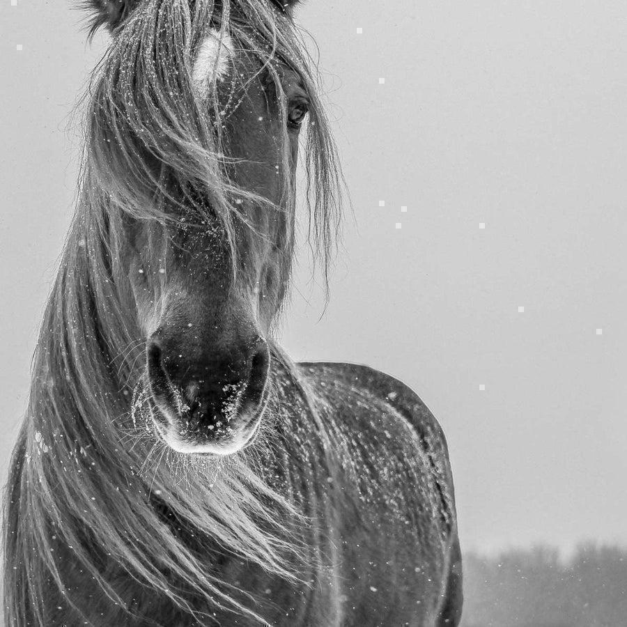 Black and White Wall Art