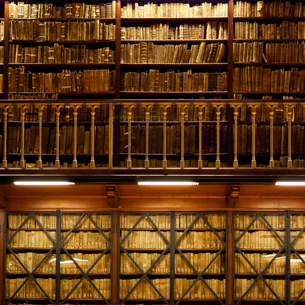 Bookshelf Wall Art Prints, Framed Prints And Multi Panel Art