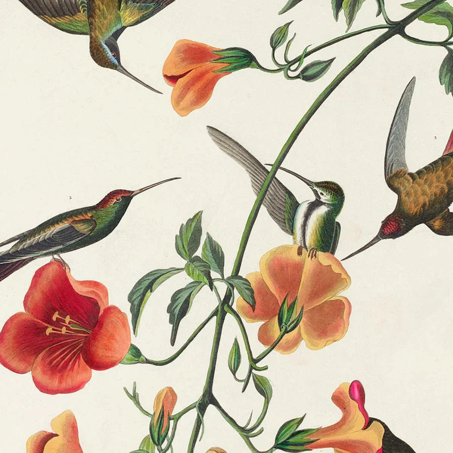 Botanical Education Wall Art