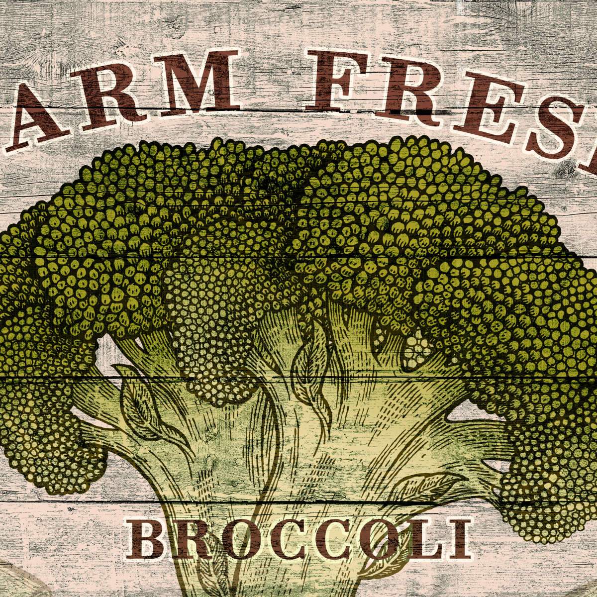 Broccoli Wall Art