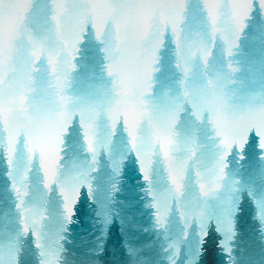 Calming Forestscapes Wall Art