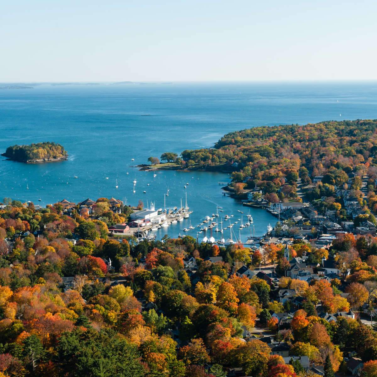 Camden Harbor Wall Art