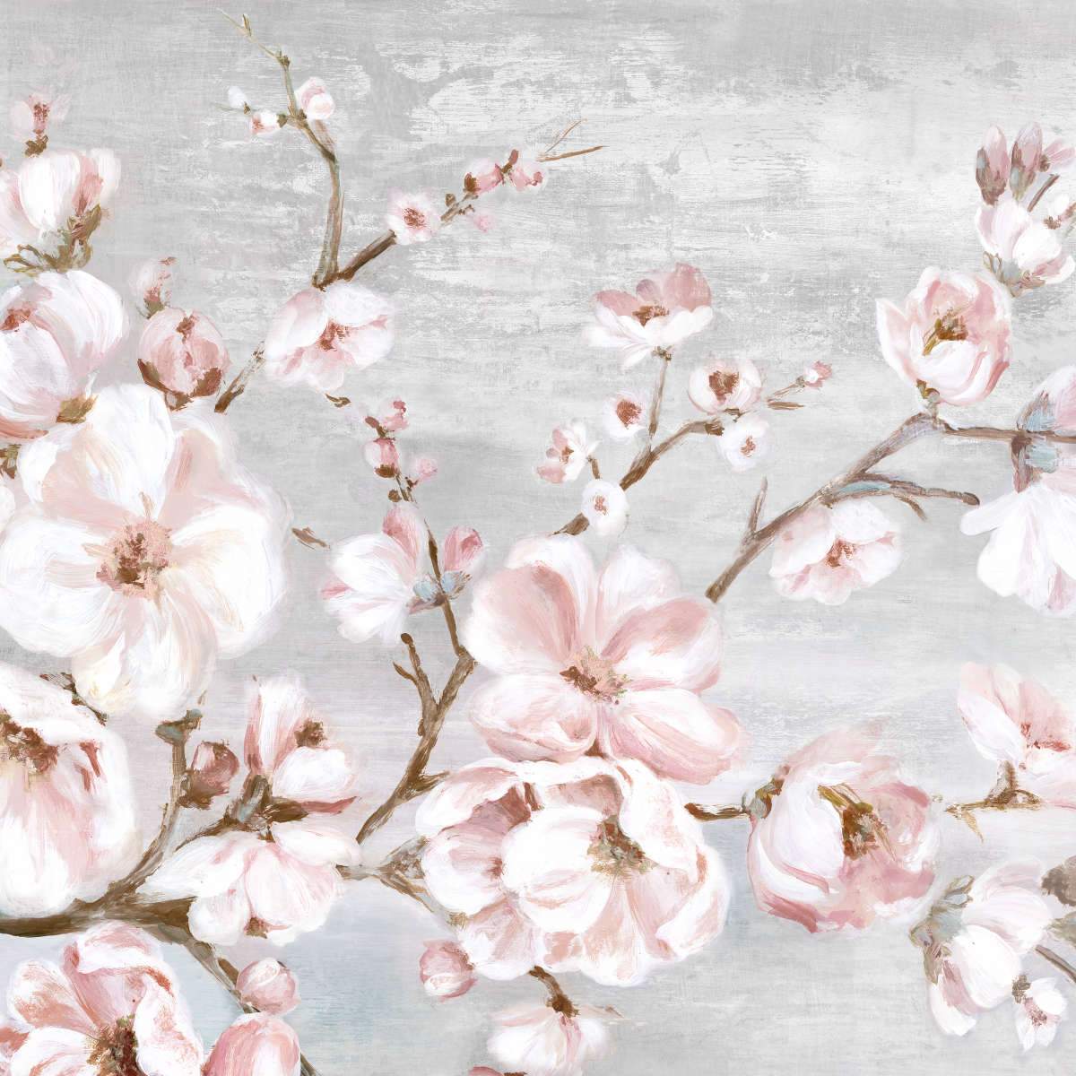 Cherry Blossom Wall Art  Paintings, Drawings & Photograph Art Prints