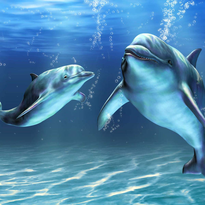Two Jumping Dolphins Wall Art: Canvas Prints, Art Prints & Framed Canvas