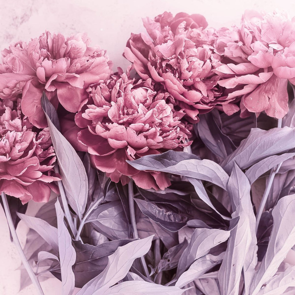 Feminine Wall Art Prints, Framed Prints And Multi Panel Art