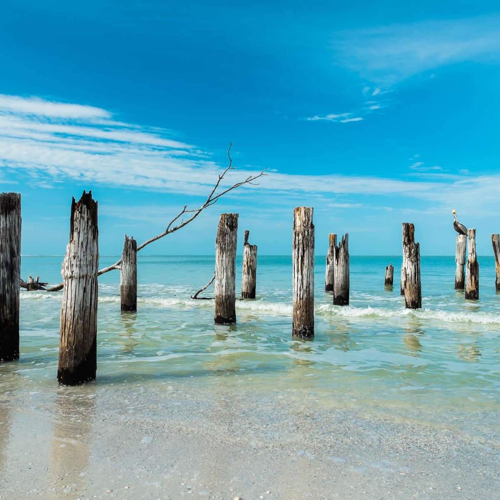 Fort Myers Beach Canvas Wall Art Prints