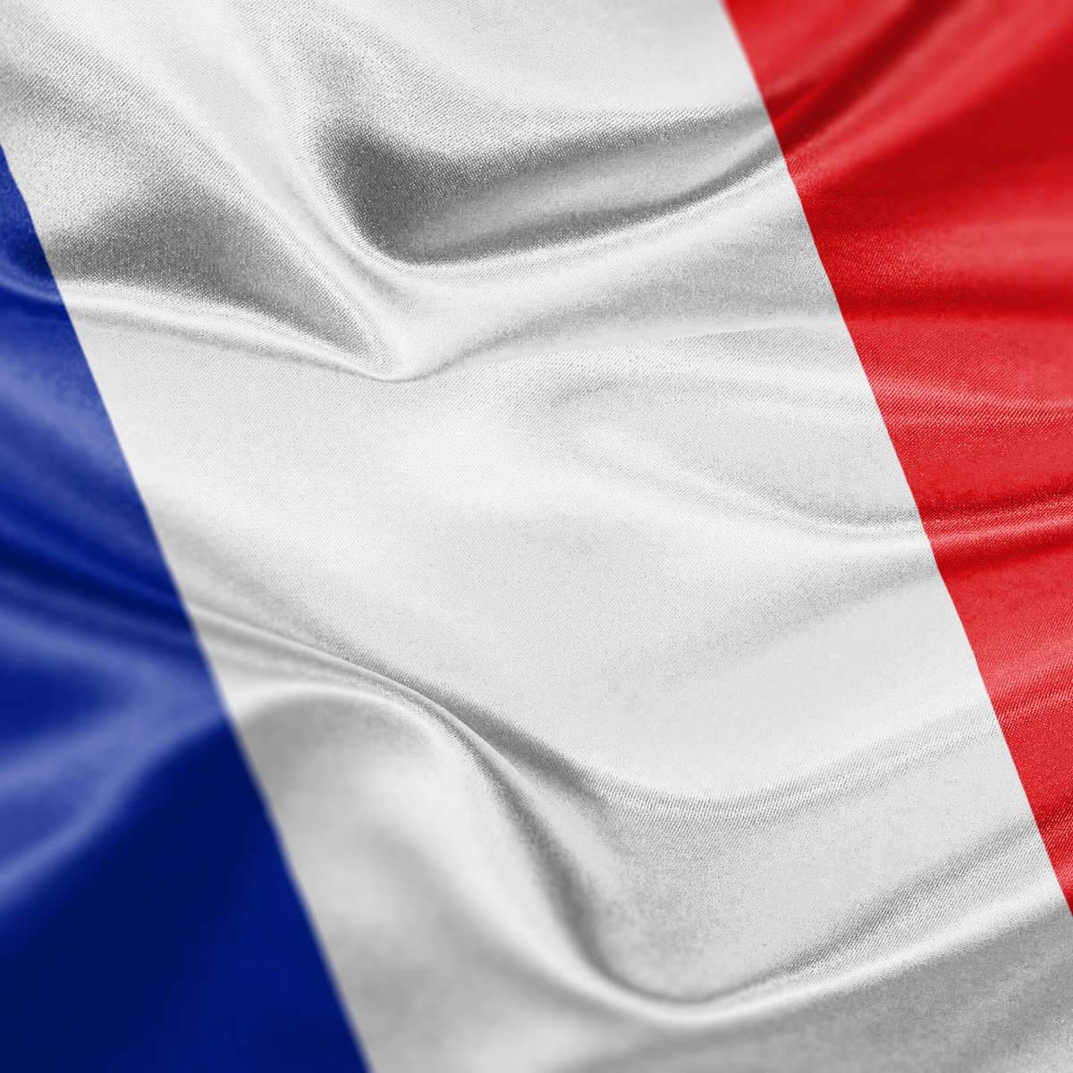 France Flag Wall Art