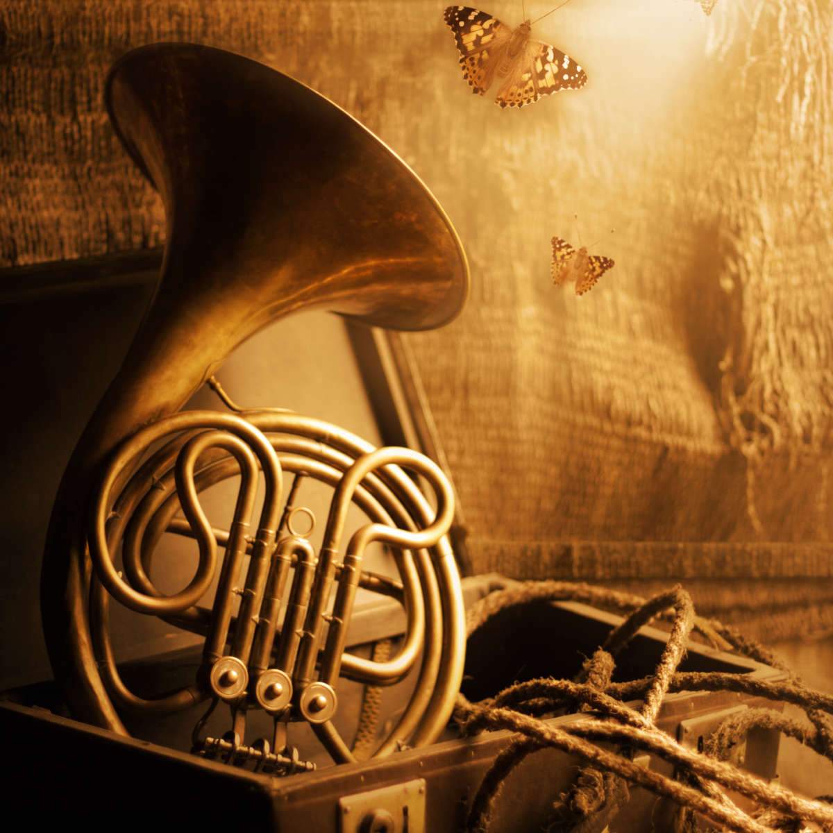 French Horn Wall Art