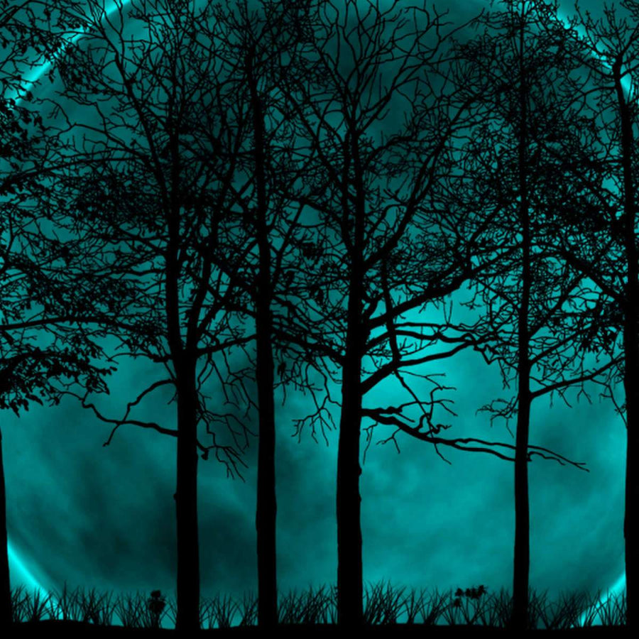 Dark Fantasy Wall Art Canvas Prints, Art Prints & Framed Canvas