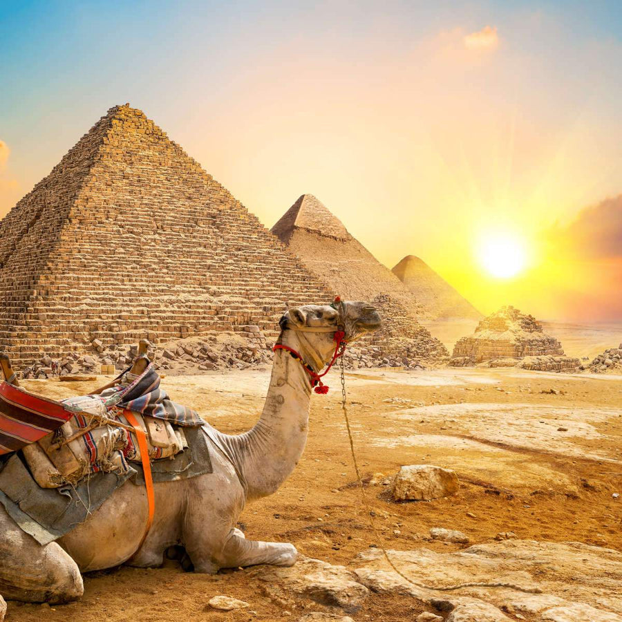 Scenic Egyptian Pyramids Wall art | Elephant Stock