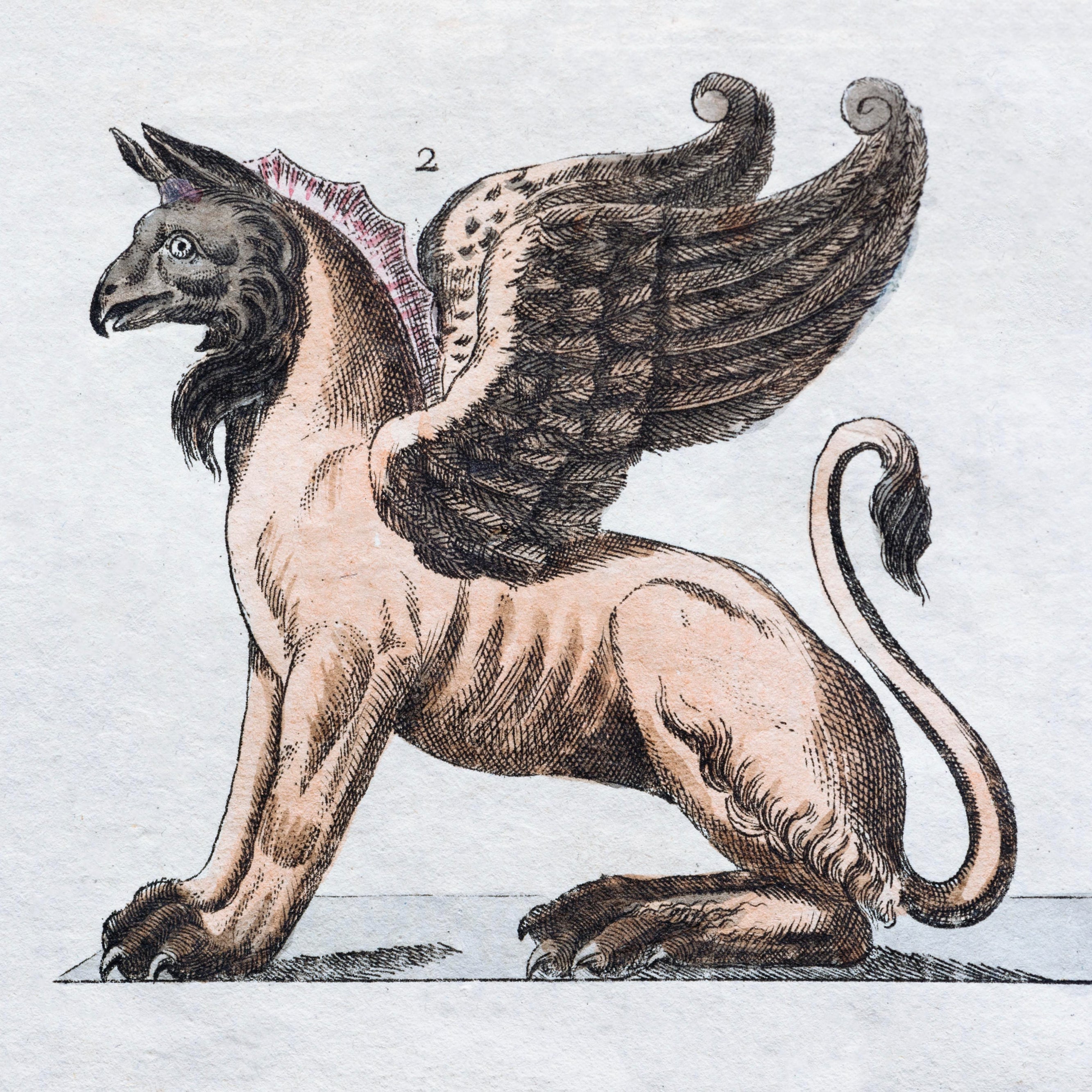 Greffend Griffin