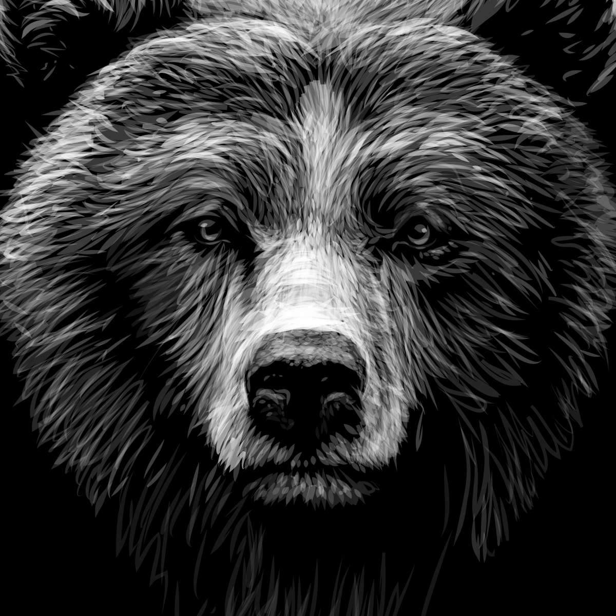 Grizzly Bear Wall Art