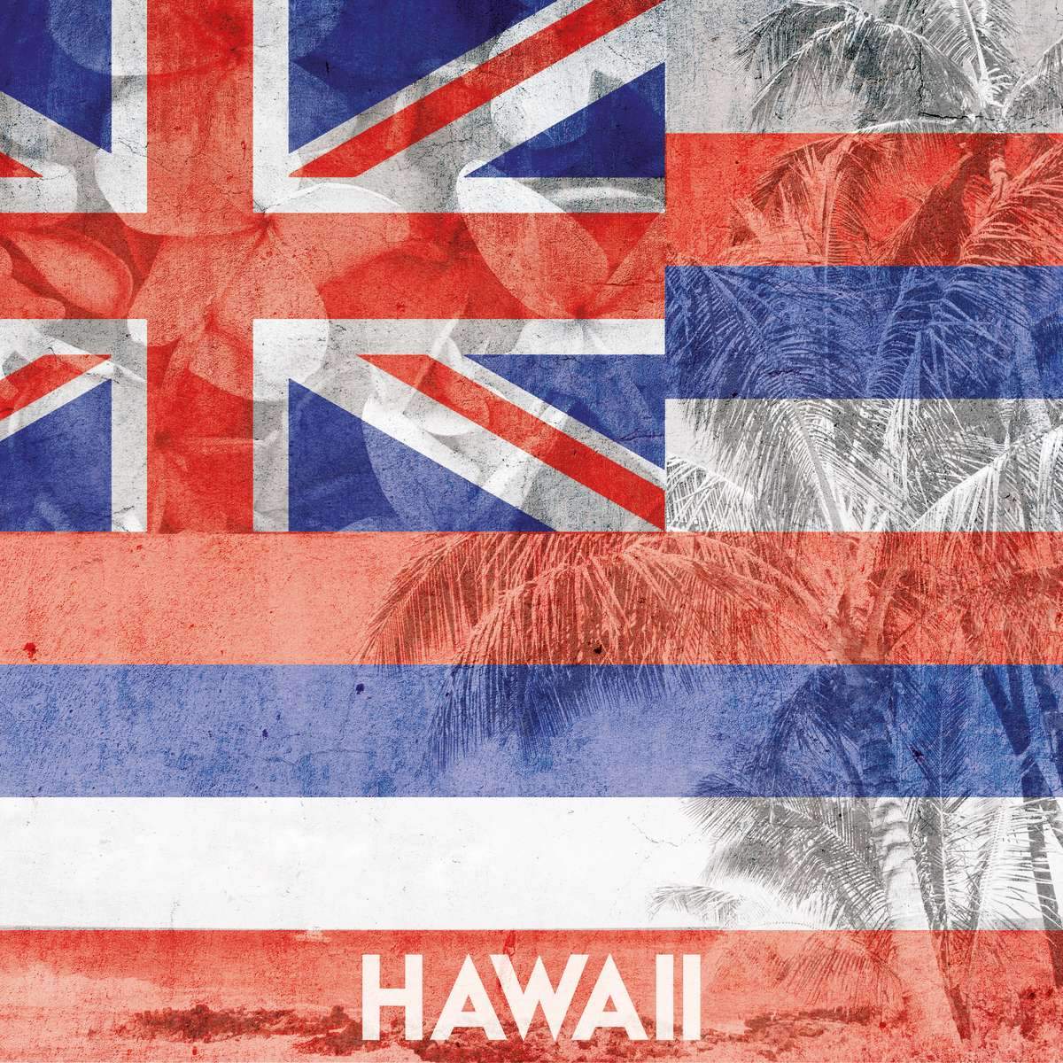 Hawaii Flags Wall Art