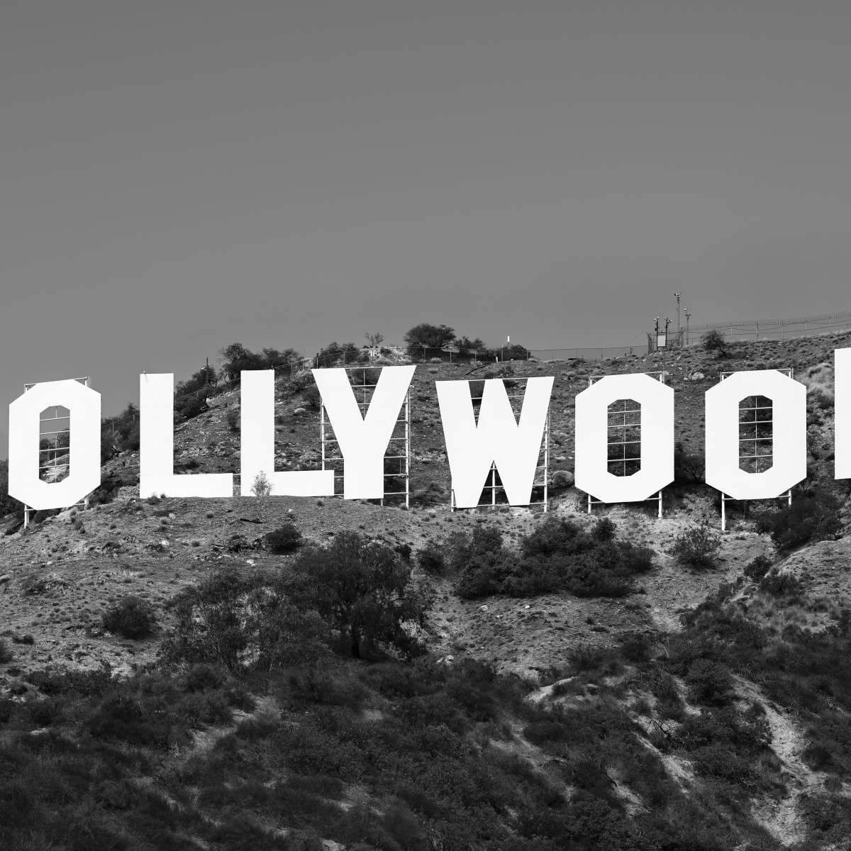 Hollywood Sign Wall Art