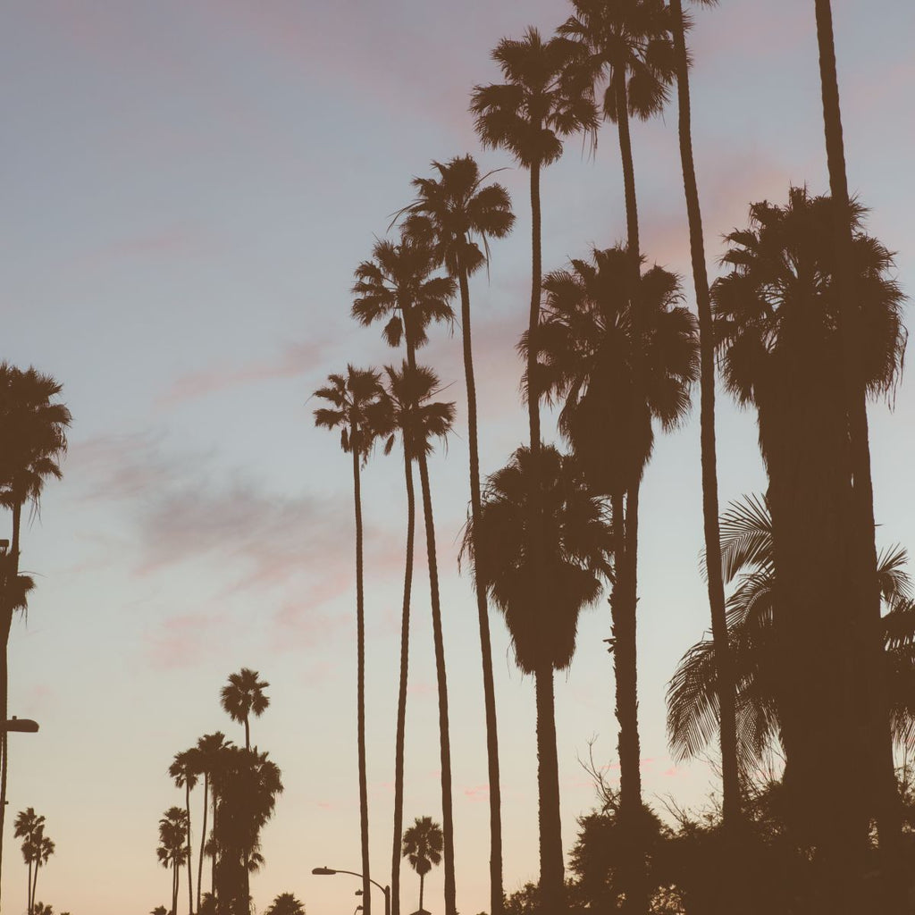 Hollywood Wall Art Prints, Framed Prints And Multi Panel Art