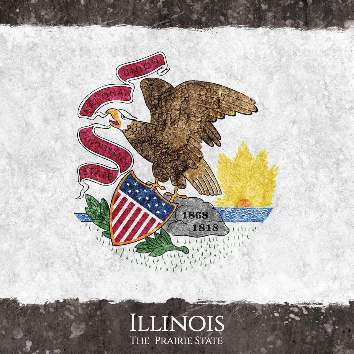 Illinois Flags Wall Art