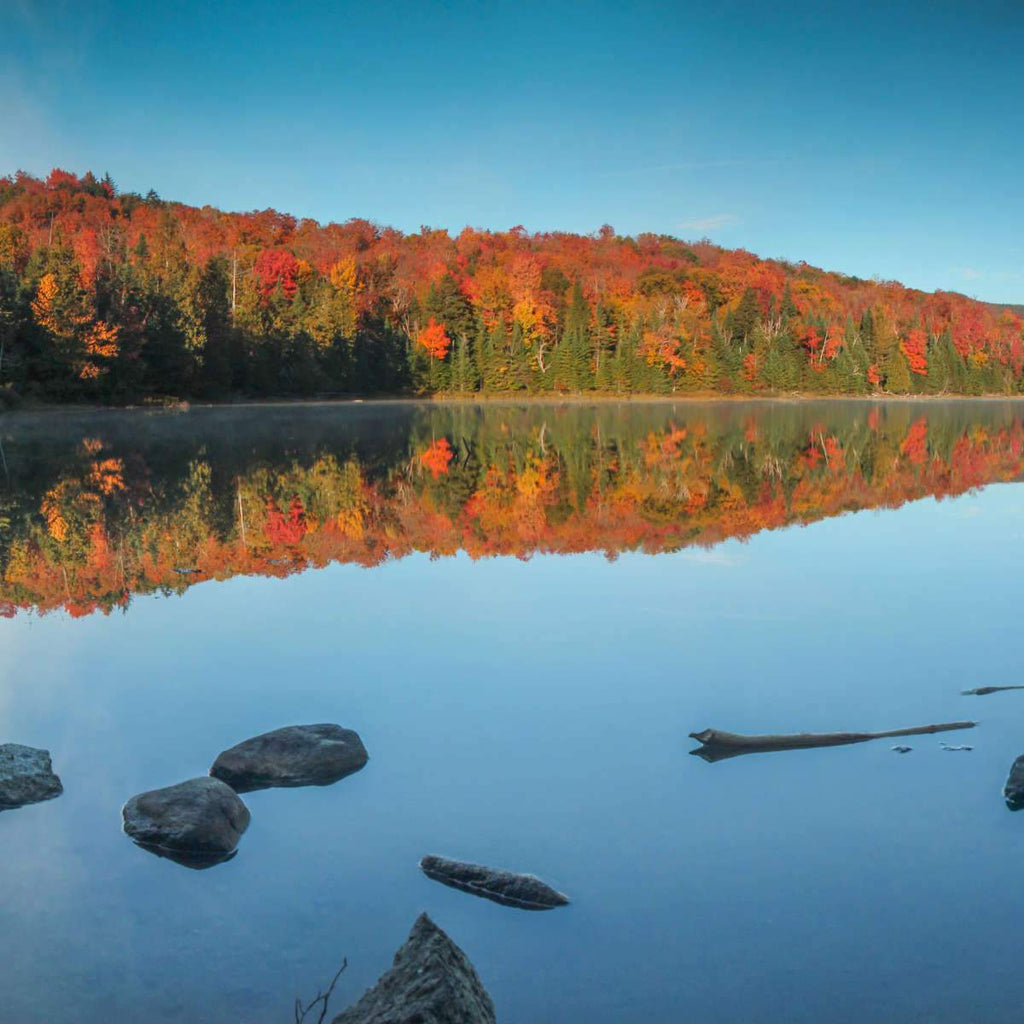 Lake Placid Wall Art | Prints, Framed Prints And Multi Panel Art