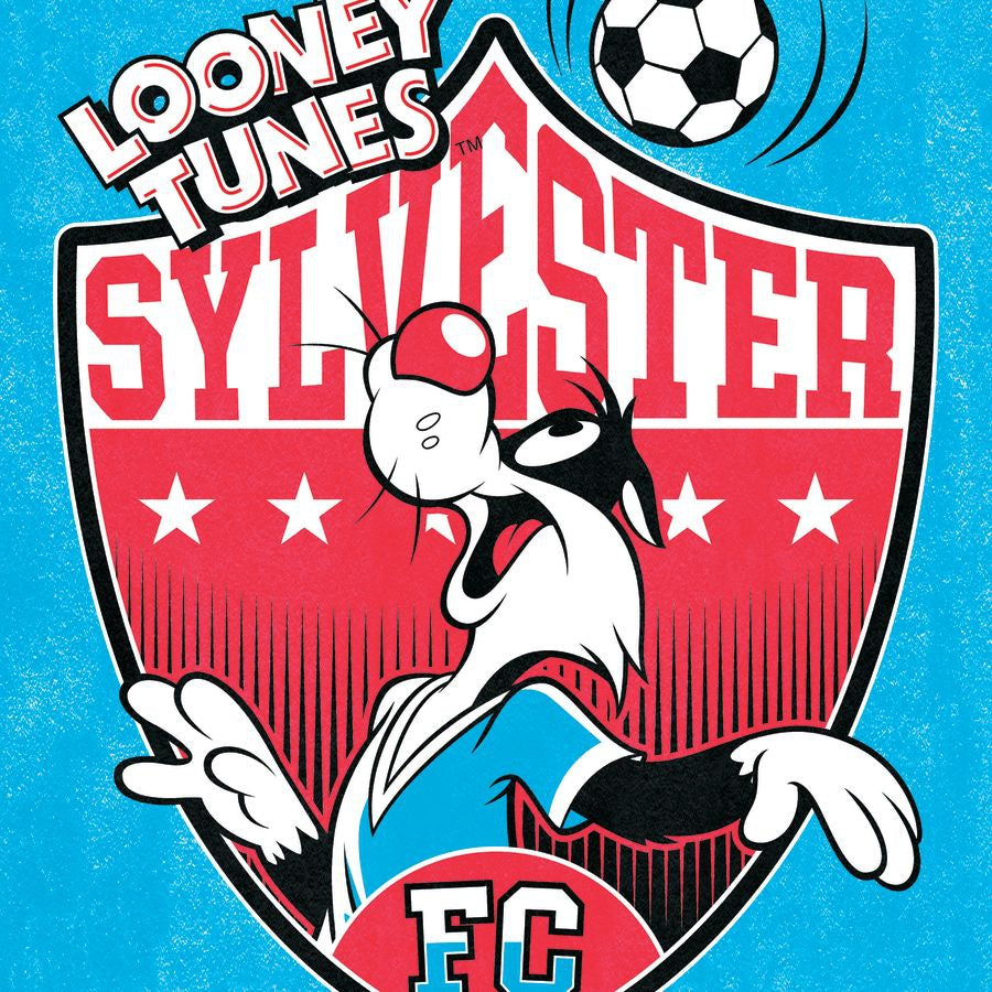 Looney Tunes Sports Wall Art