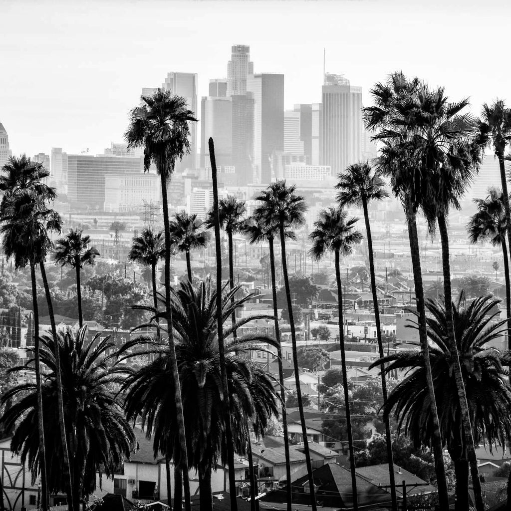 Los Angeles City Wall Art Prints, Framed Prints And Multi Panel Art