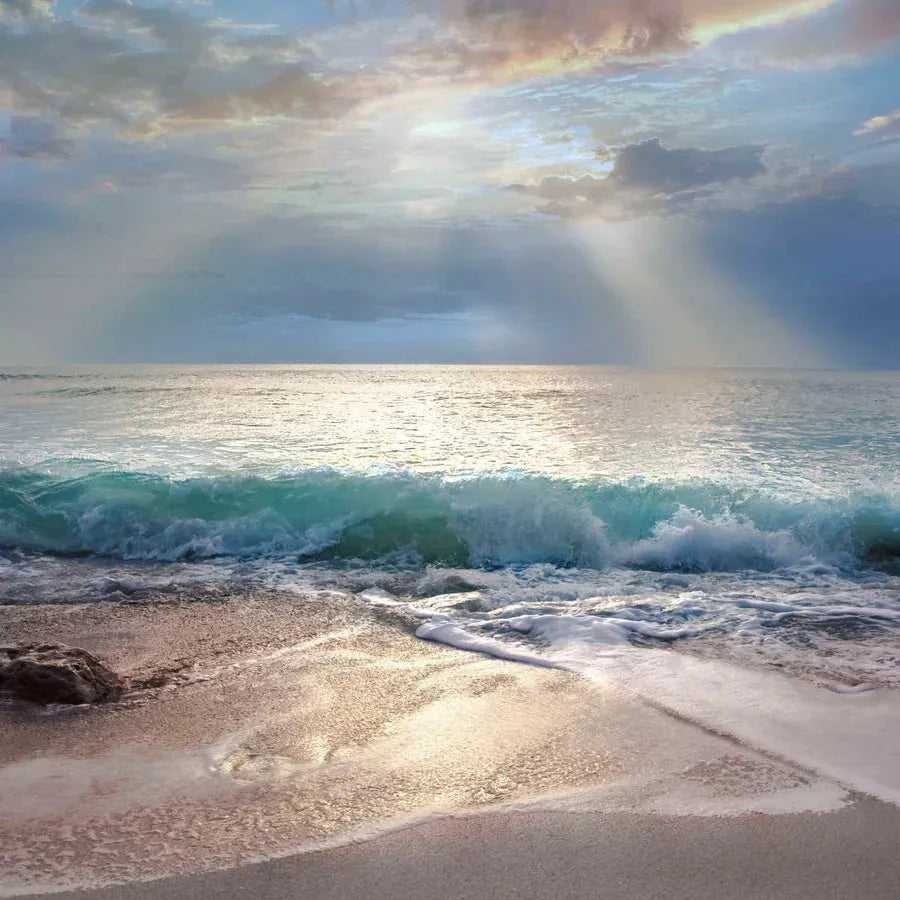 Mike Calascibetta Wall Art