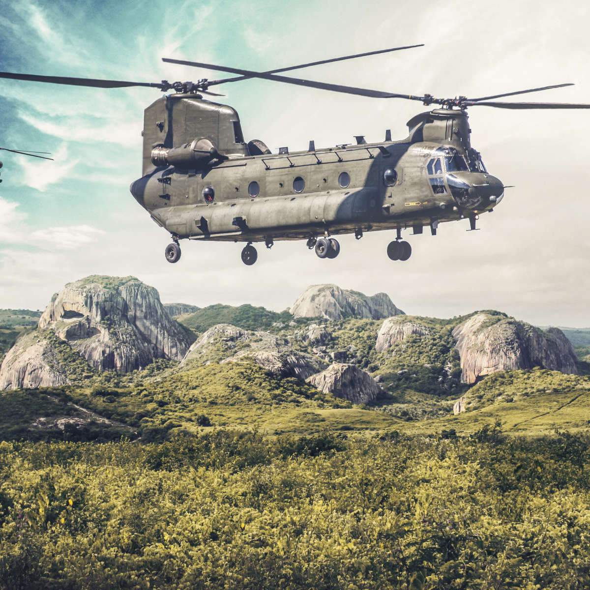 Military Helicopters Wall Art