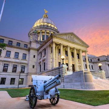 Mississippi State Capitol Wall Art