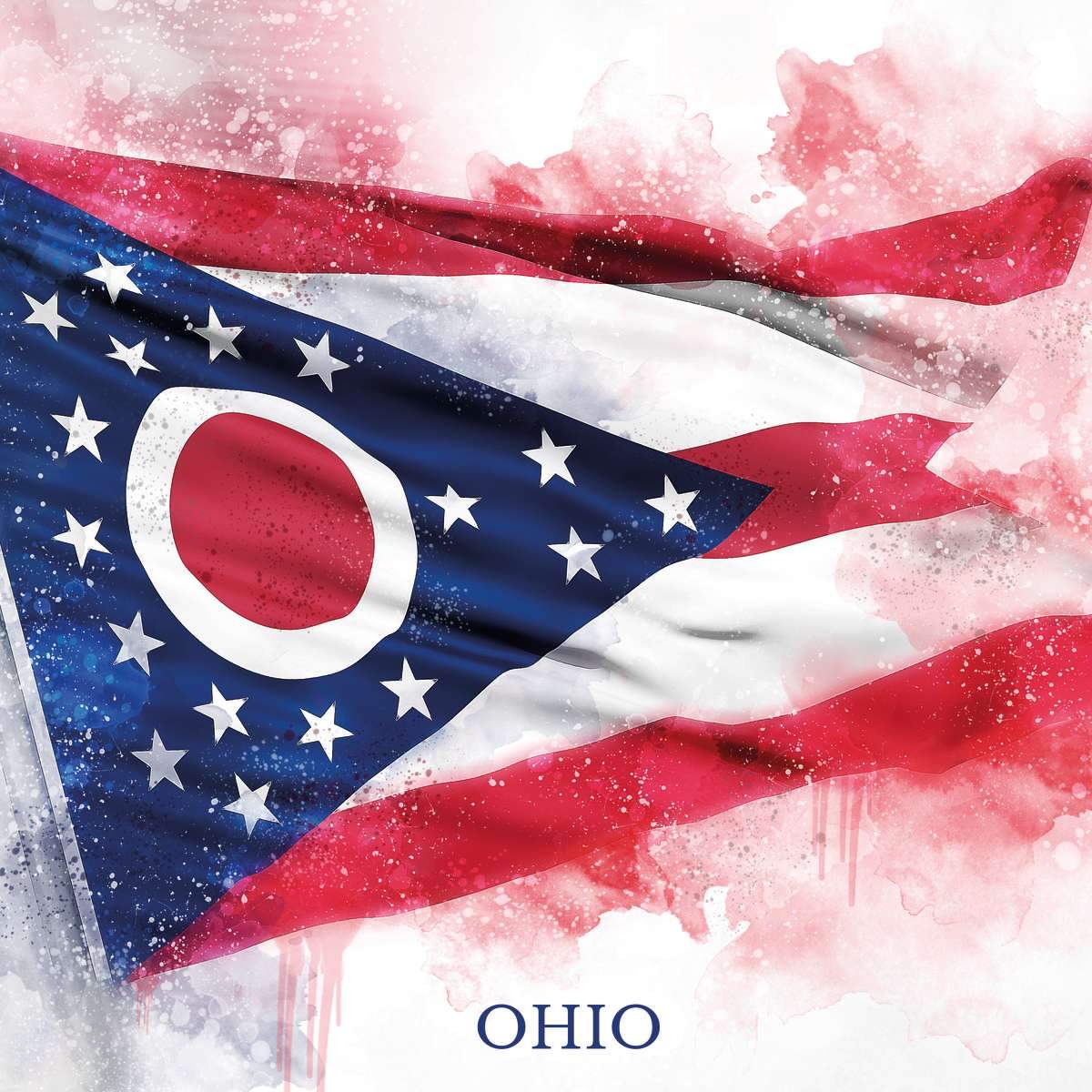 Ohio Flags Wall Art