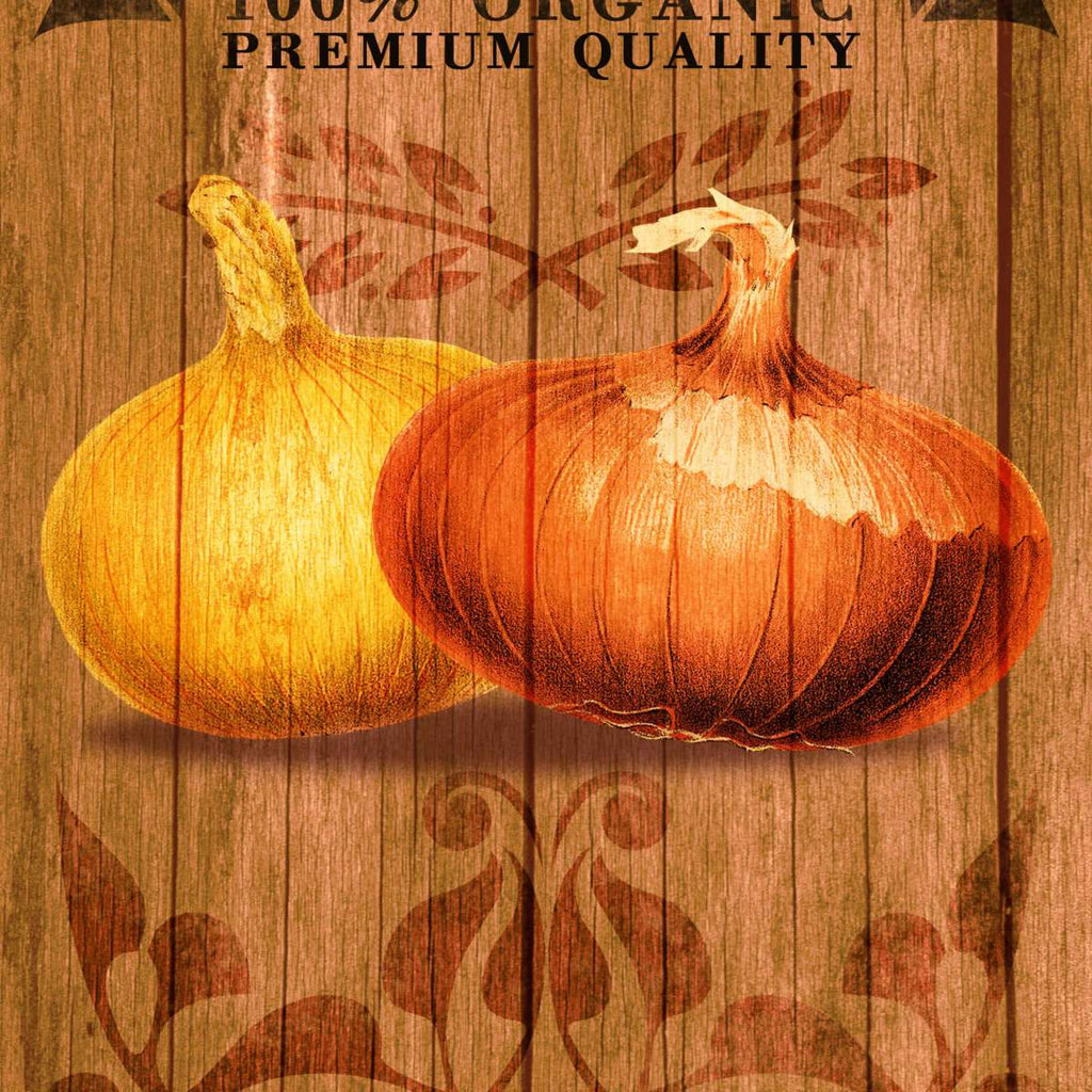 Onion Wall Art Prints, Framed Prints And Multi Panel Art