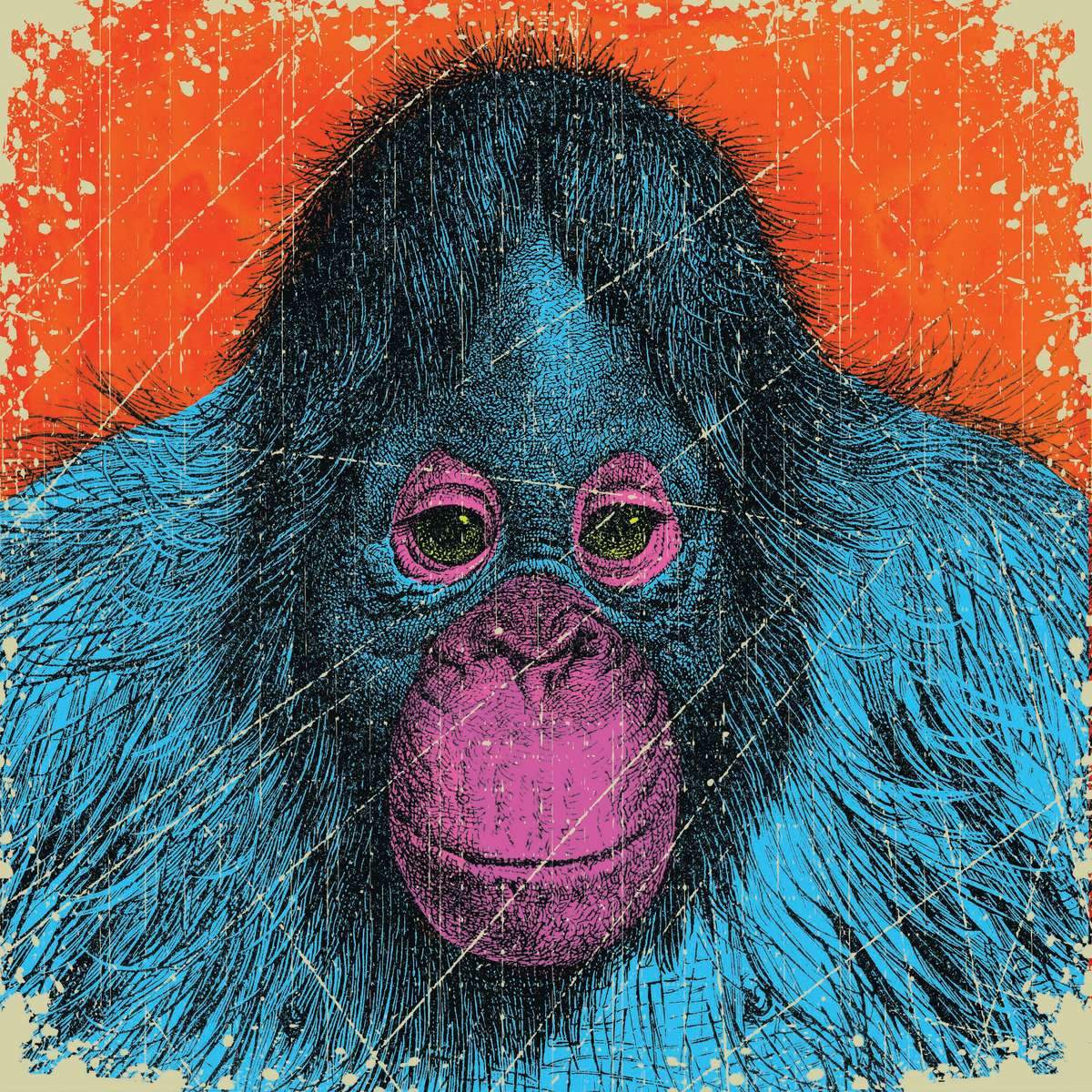 Orangutan Wall Art