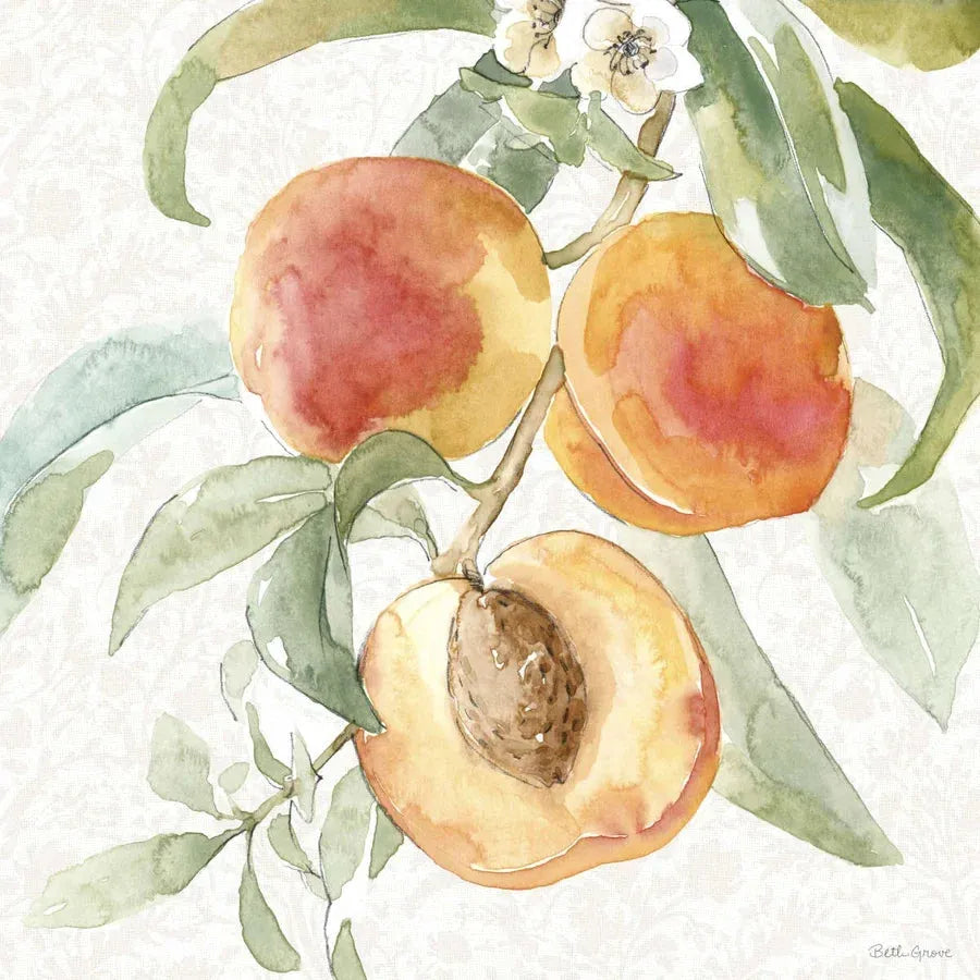 Peach Tone Wall Art