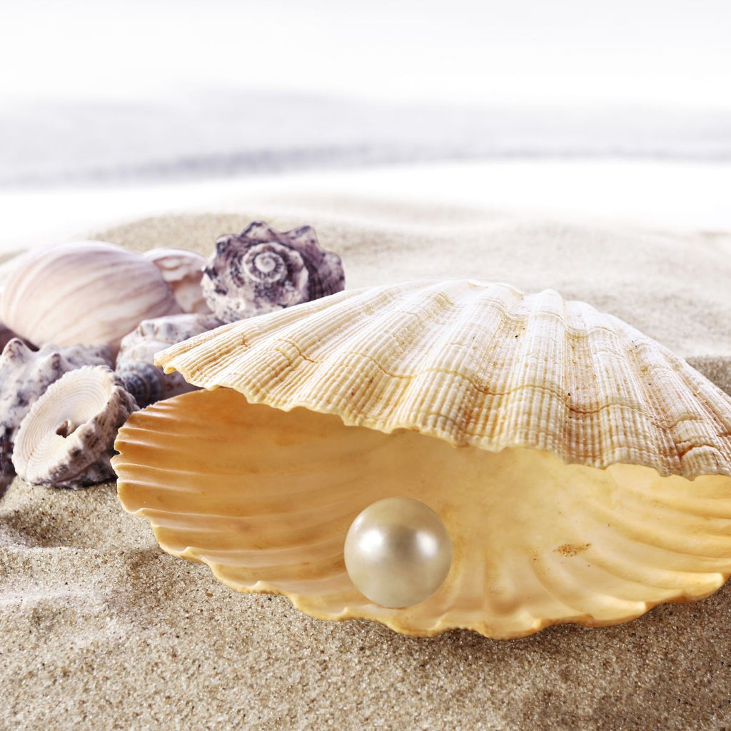 Pearl Wall Art Prints, Framed Prints And Multi Panel Art