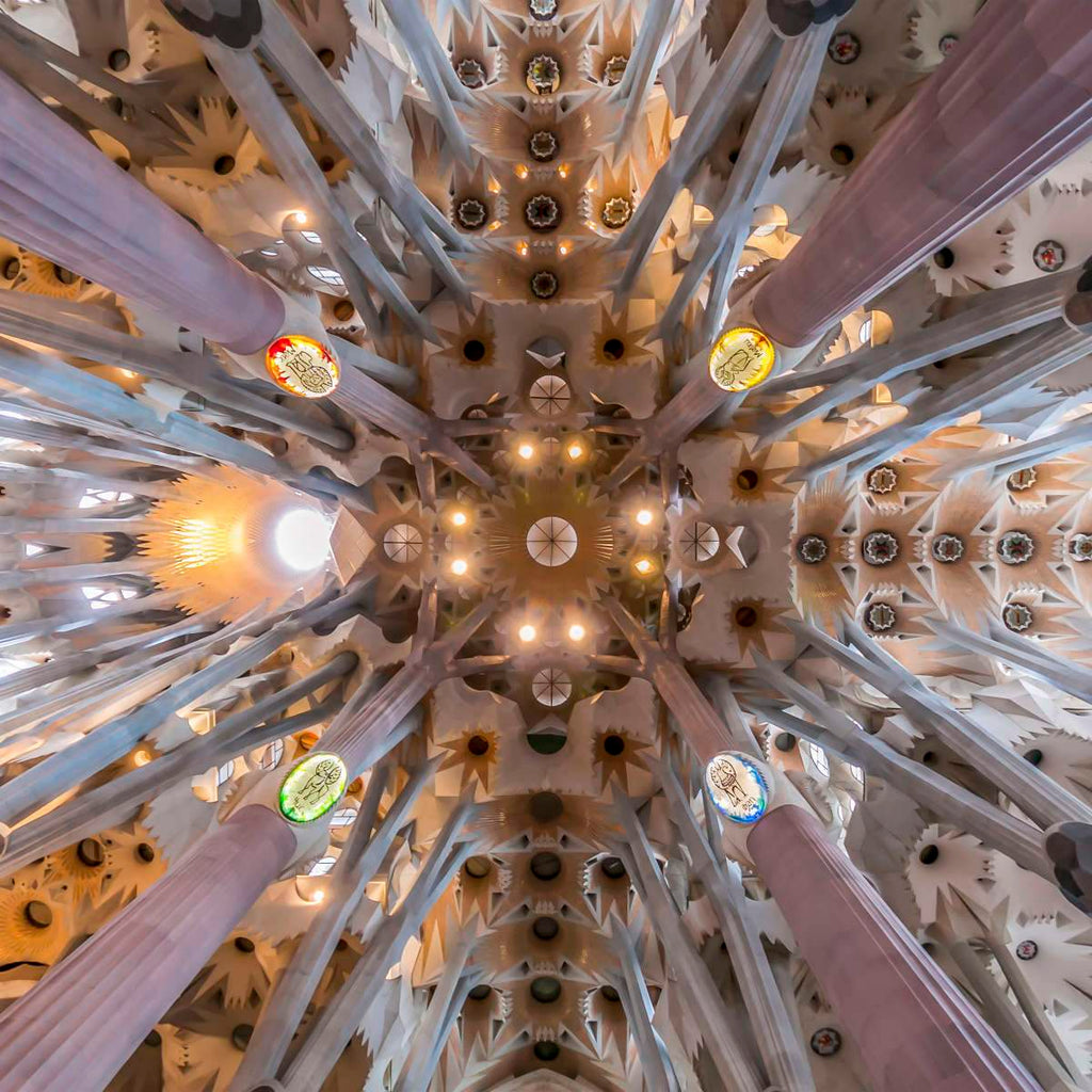 Gaudi Sagrada Familia Ceiling